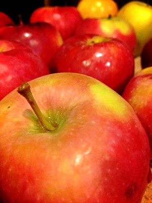 picture of a watermelon